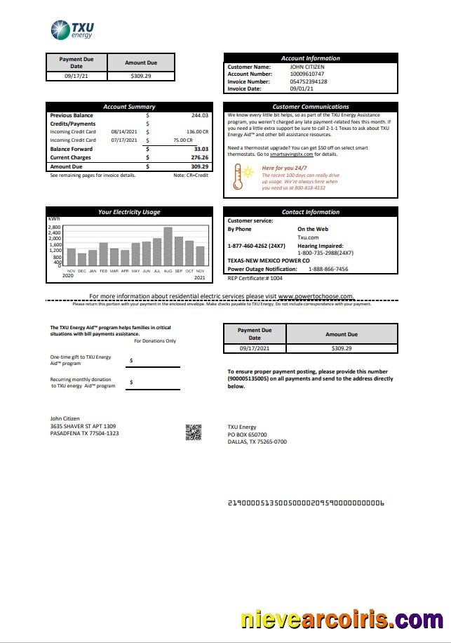 USA Texas TXU Energy utility bill